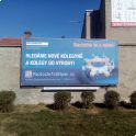 Billboard Slavkova u Brna